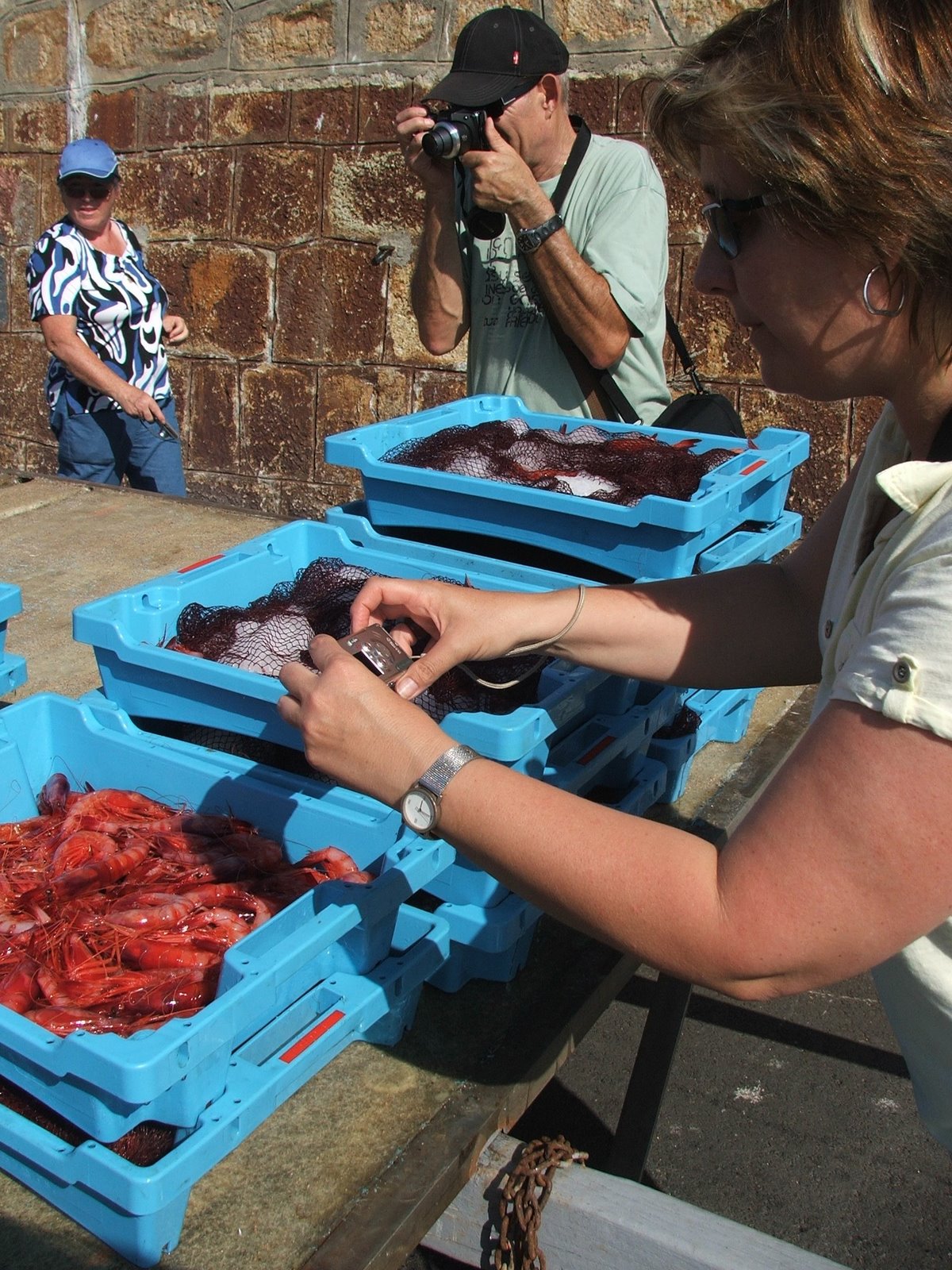 [2009_0618portblanes0206.JPG]