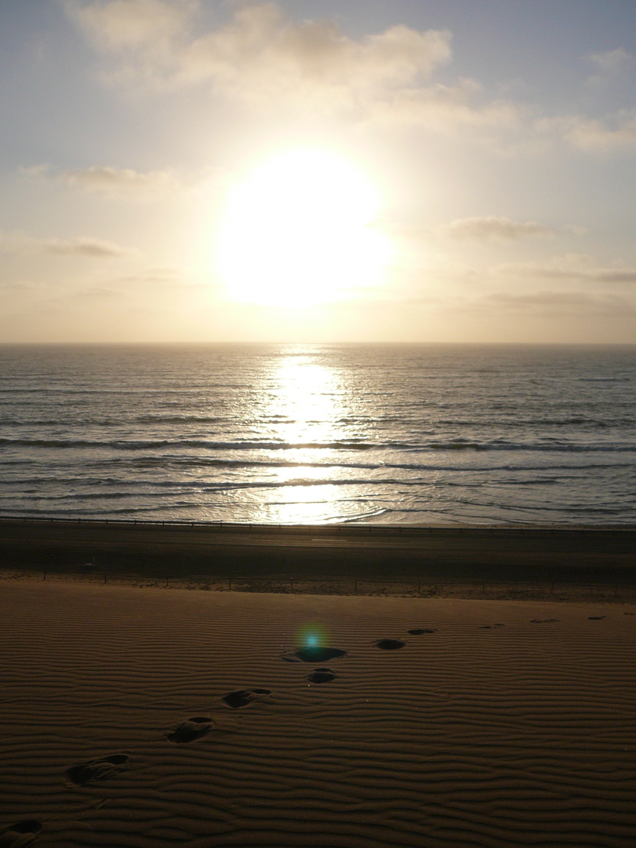[Traces+in+the+sand,+Swakopmund.jpg]