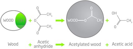 [Accoya_technology_formula.jpg]
