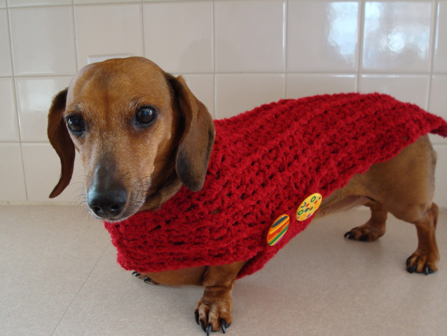 "For What It's Worth" Silly Season Has Arrived