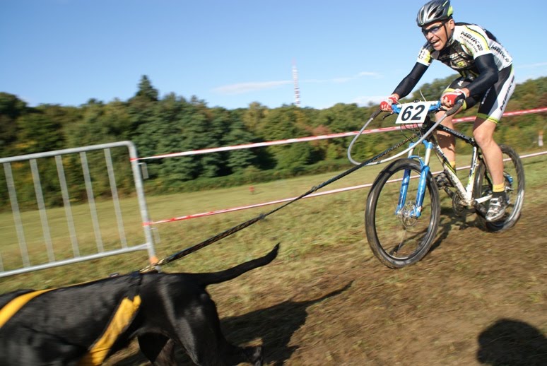 [eurocanicross_bikejoring_masters.JPG]