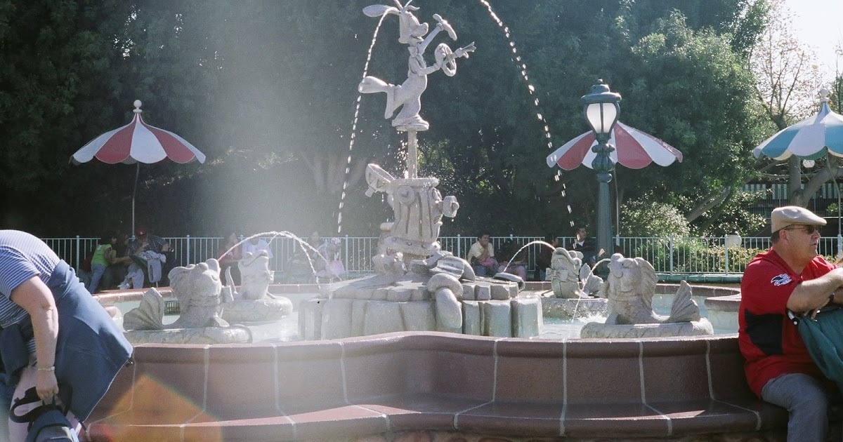 Gas Lounge Replacing the light seals on old cameras