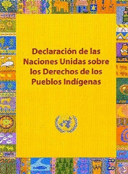 Declaración de las Naciones Unidas sobre los derechos de los pueblos indígenas