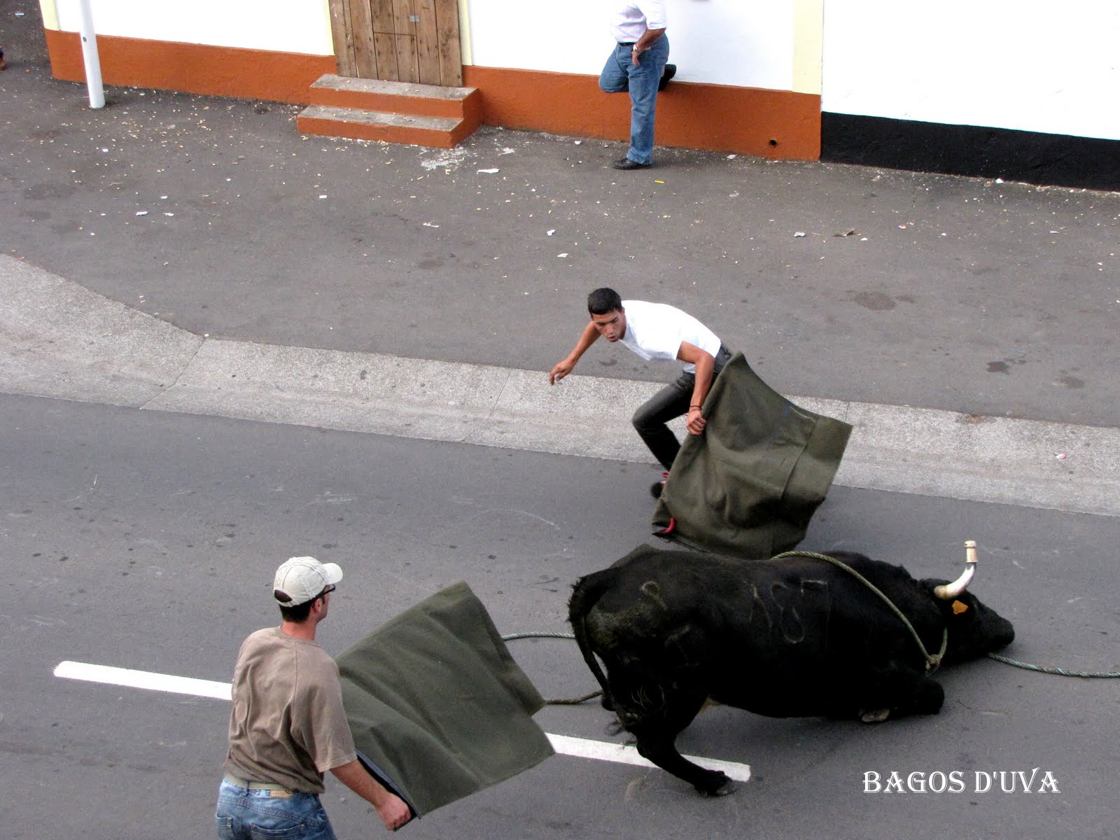 [TOURADAS_CORDA_+(6).JPG]