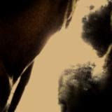 New sur myspace PHOTOS "autoportraits"
