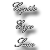 Cogito Ergo Sum: How Can You Judge? Cogito Ergo Sum: How Can You Judge?