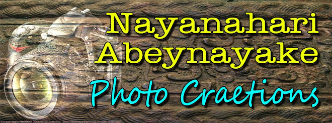 Nayanahari Abeynayake