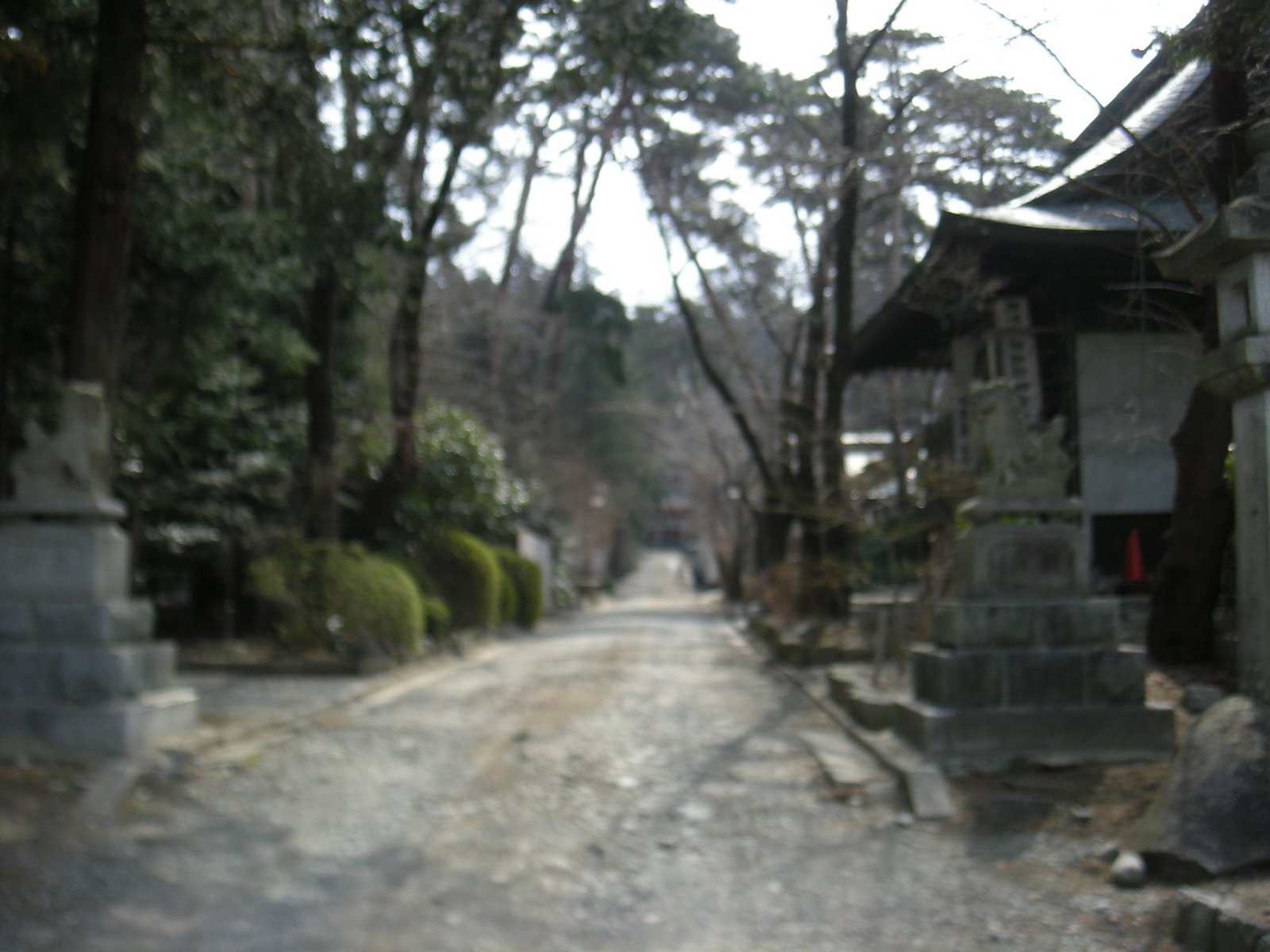 [DSCN1337.JPG]