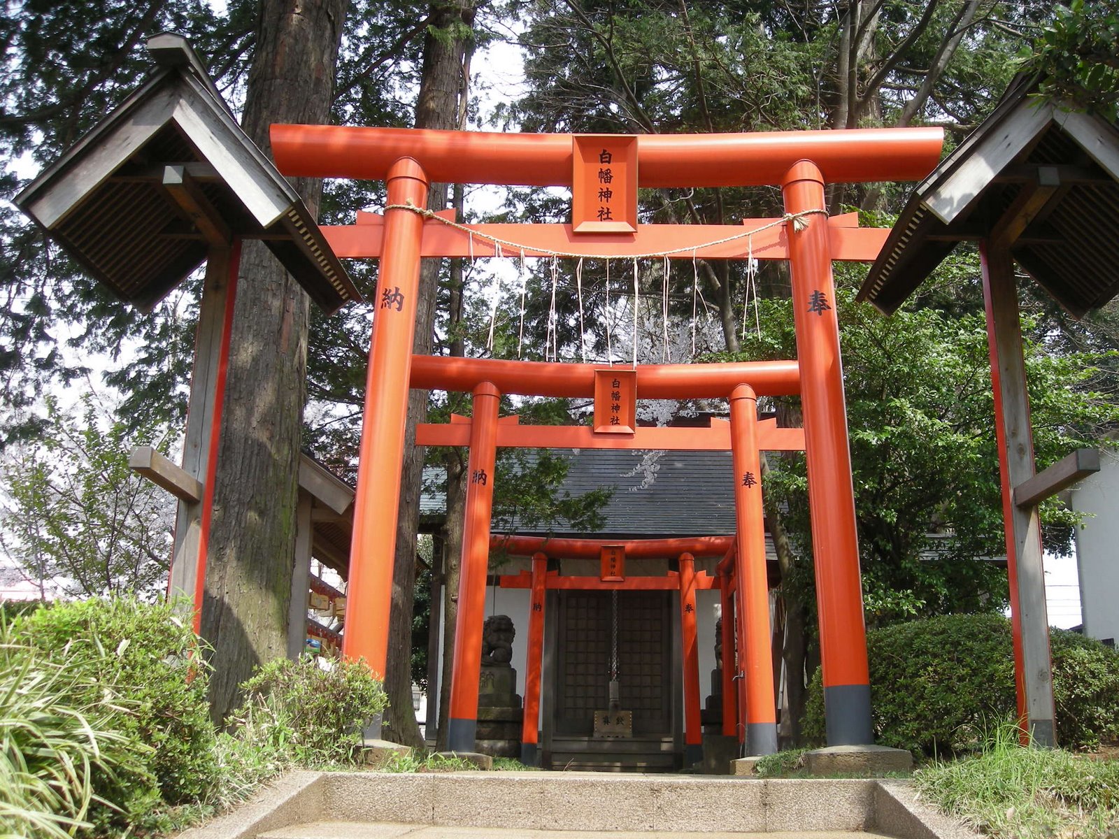 [DSCN1363.JPG]