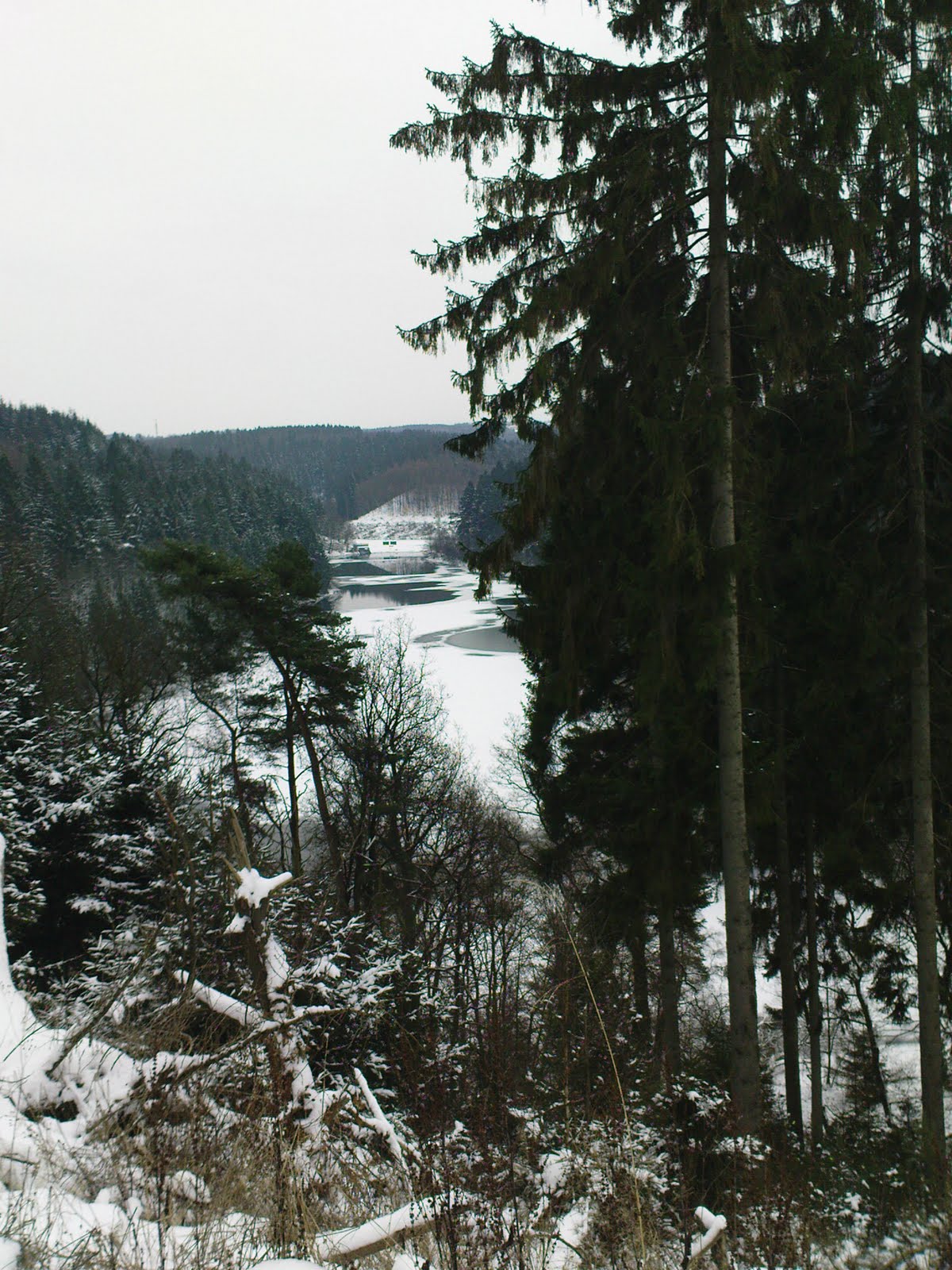 [DSC00188.JPG]