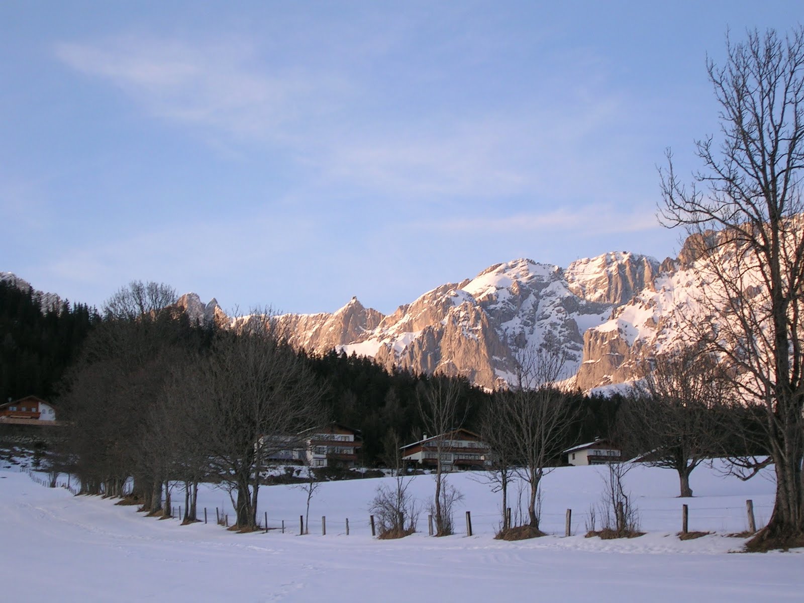 [DSCN4165.JPG]