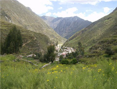 VISTA PANORAMICA DEL C.P. HUANCACHI - TOMAS