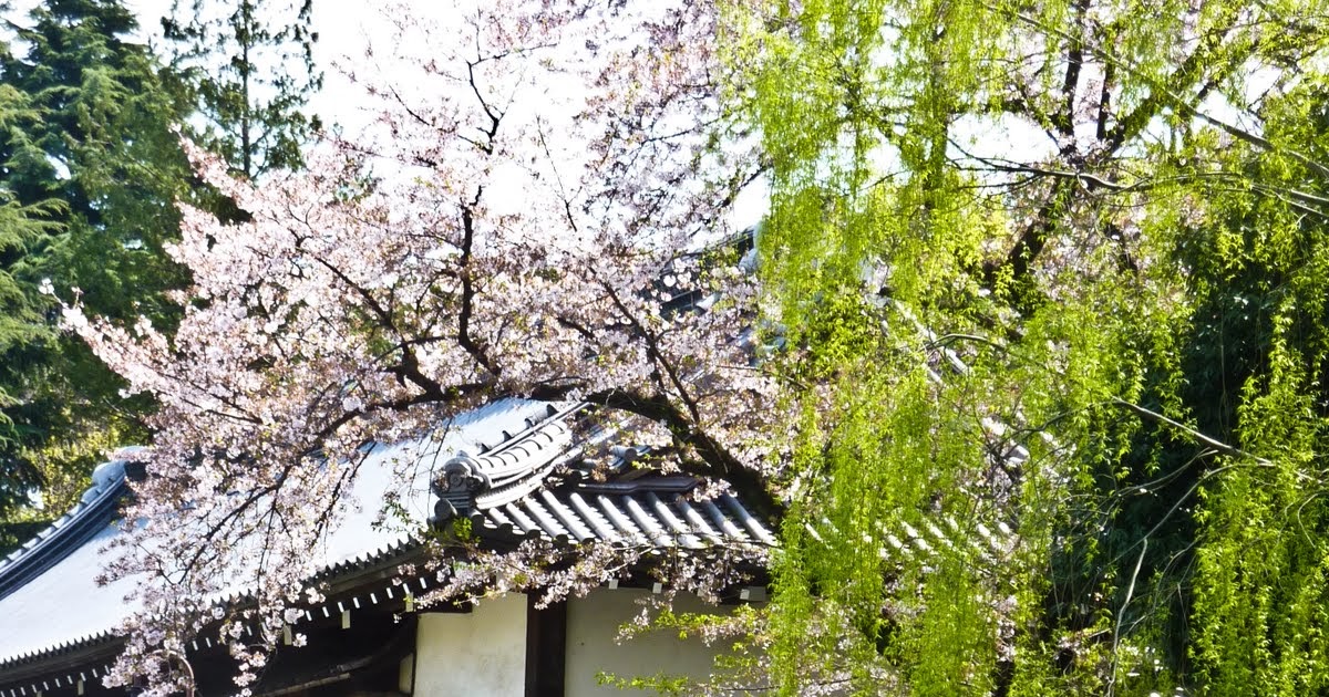 ARIZONA SKIES: Japan - Tokyo, Part 7