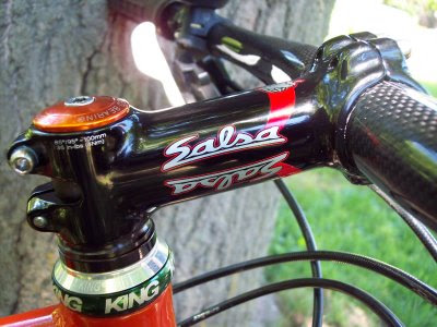 Salsa Stem