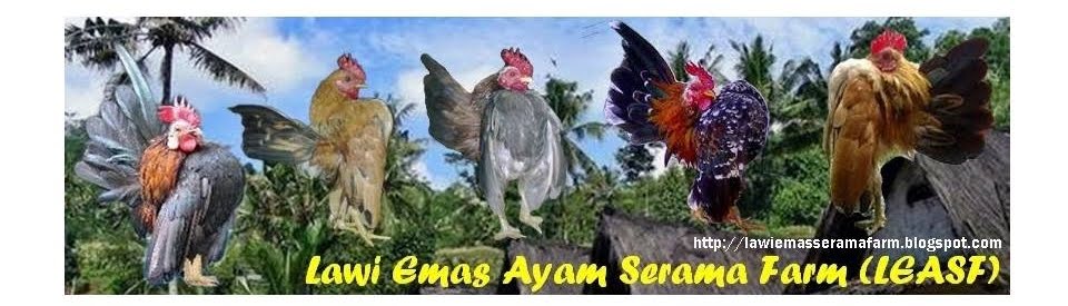 Lawi Emas Ayam Serama Farm (LEASF)