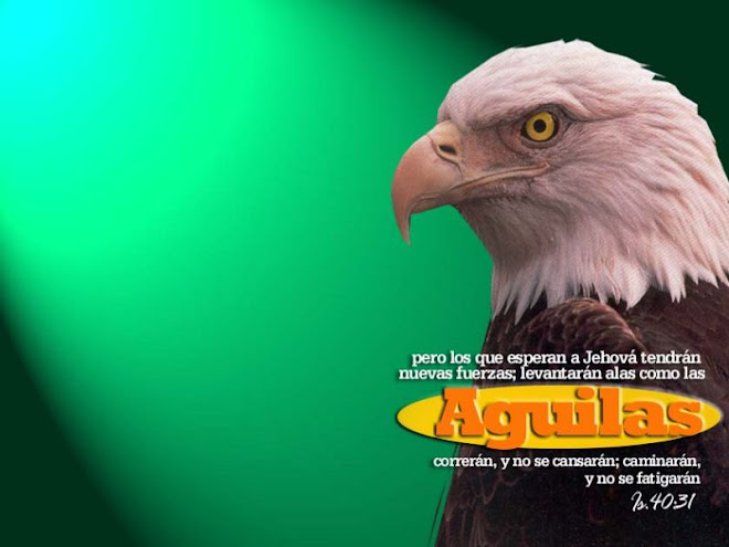 COMO LAS AGUILAS