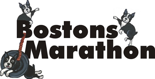 Bostons Marathon
