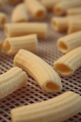 Hungry Cravings: Adventures in Extruded Pasta