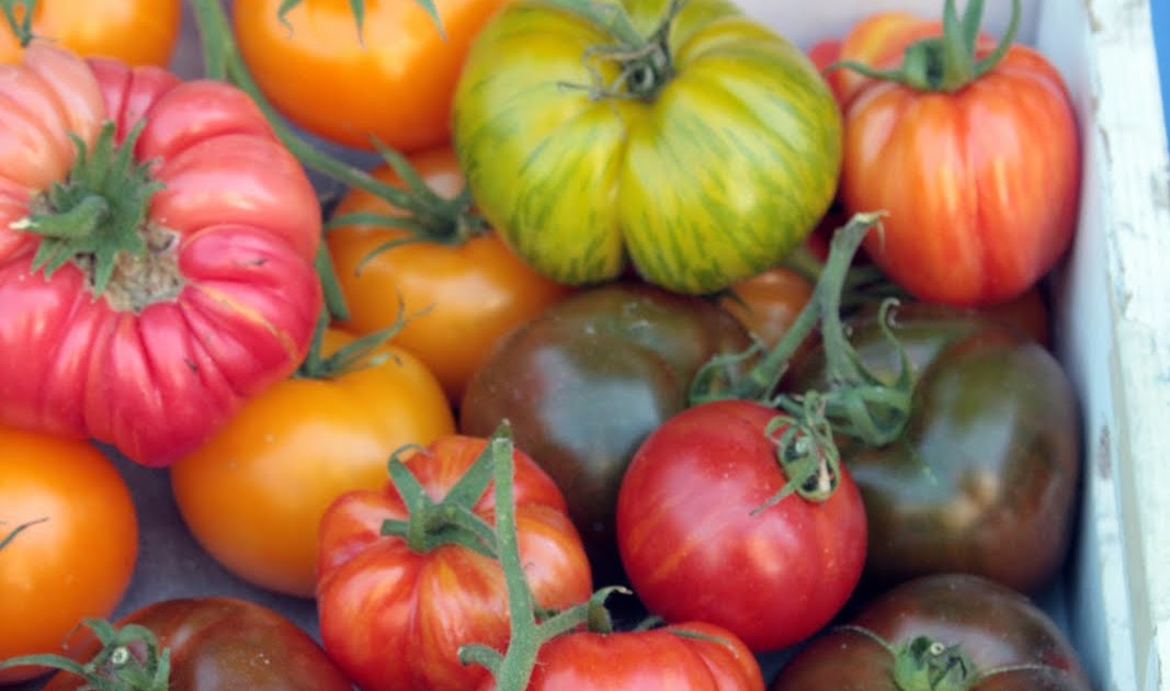 Hungry Cravings Heirloom Tomatoes and a Caprese Crostata