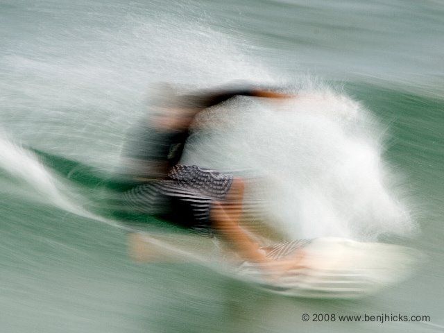 [Palmetto+Nov+12,+08-8.jpeg]