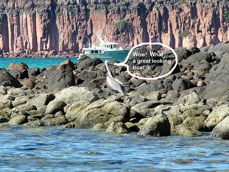 [Cartoon+(Medium).jpg]