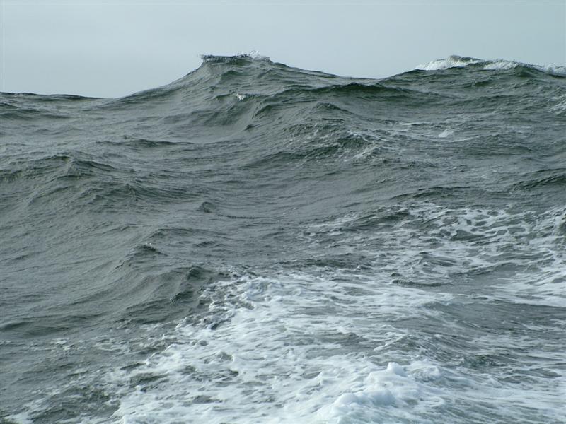 [DSCF3151+(Medium).JPG]