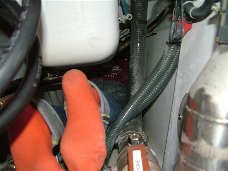 [DSCF3187+(Medium).JPG]