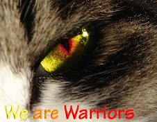 oh now a warrior sees you to.