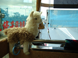tina llama scared traveling adventures
