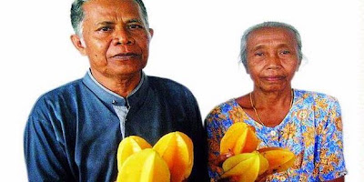 Pelestari Belimbing Demak - Karmono dan Ramisyah - Indonesia Borneo Pelestari Belimbing Demak - Karmono dan Ramisyah - Indonesia Borneo