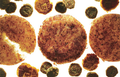 Making Hanukkah Fun And Meaningful For Adults Moderntribe Stylish Judaica For Cool Jews