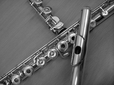 Flauta Traversa De Madera Yamaha Flauta Traversa De Madera Yamaha