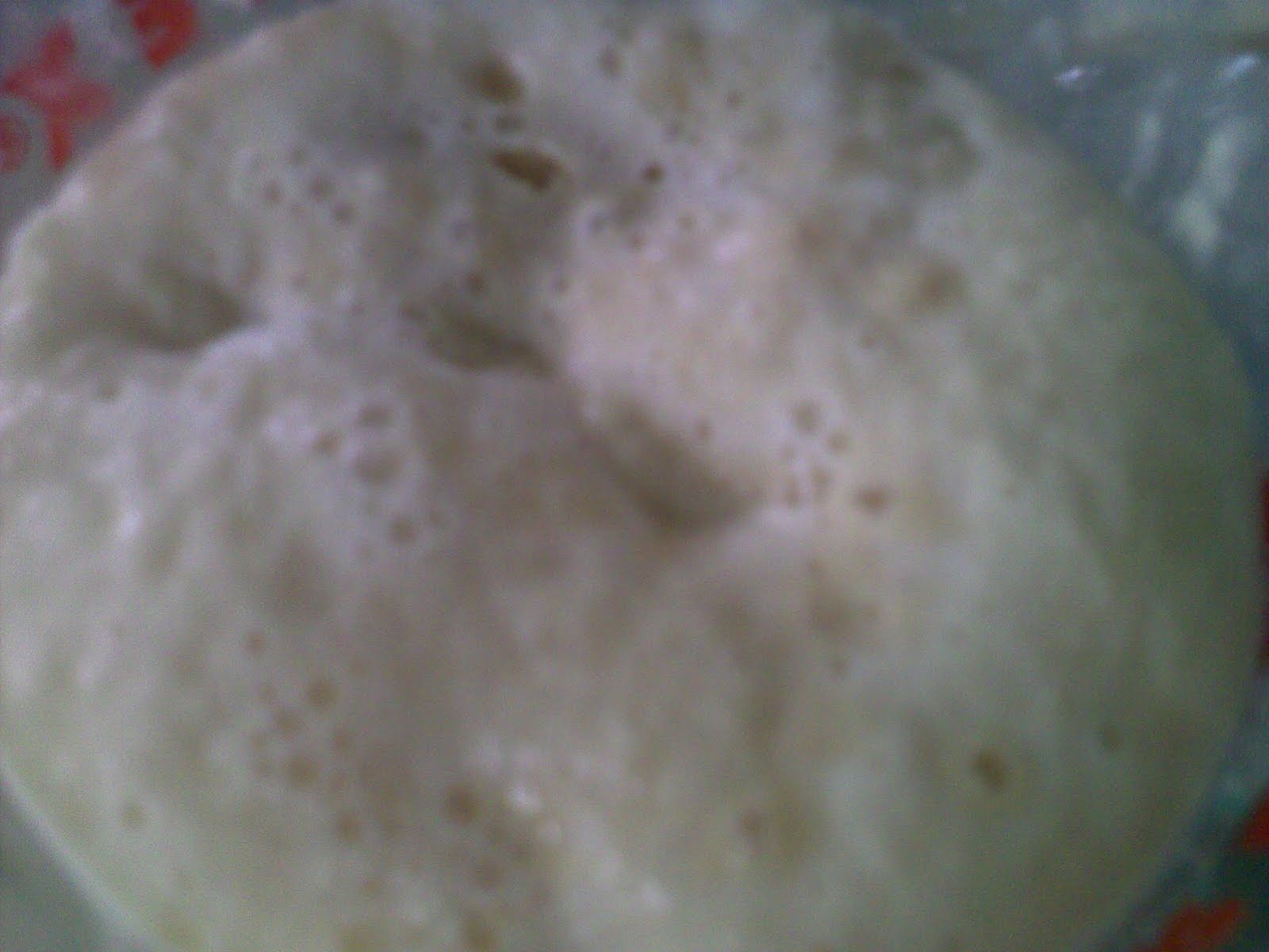 instant yeasts and active dry yeast in bread making