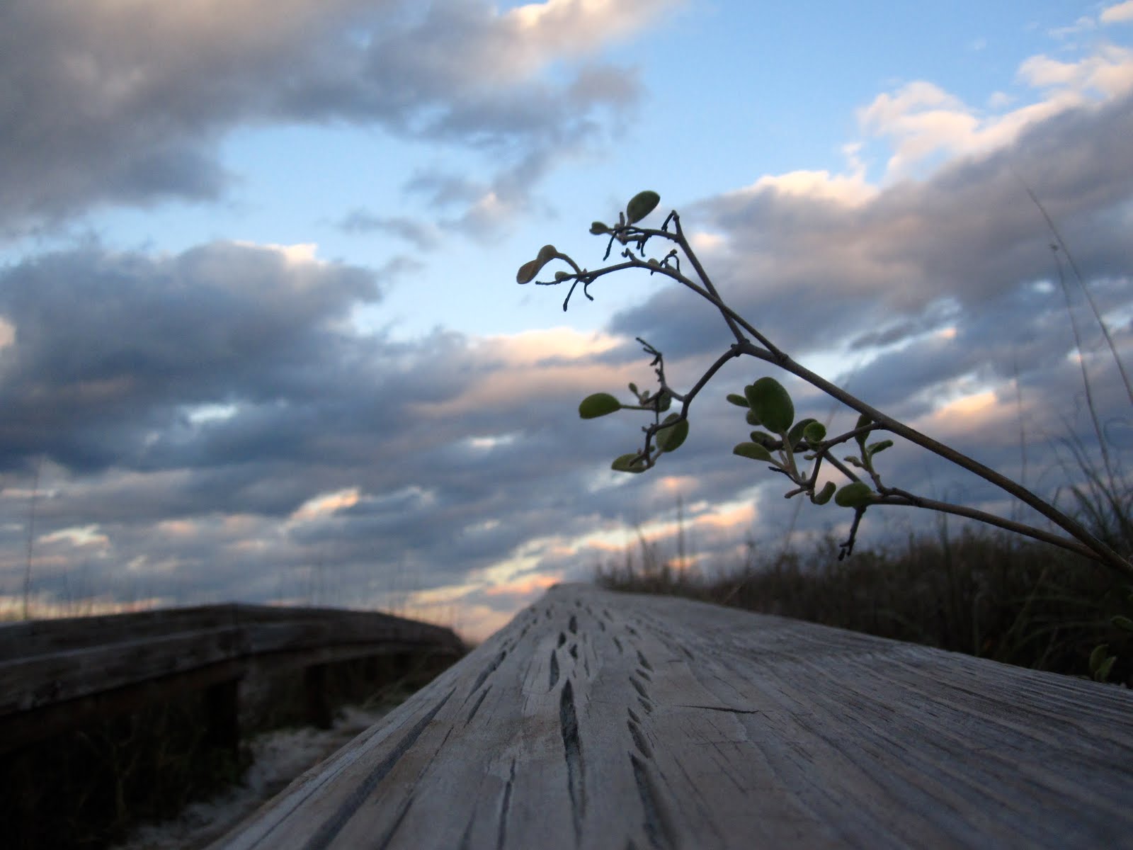 [IMG_9528.JPG]