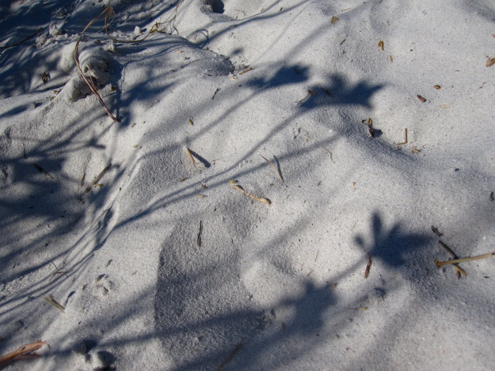 [IMG_9474.JPG]