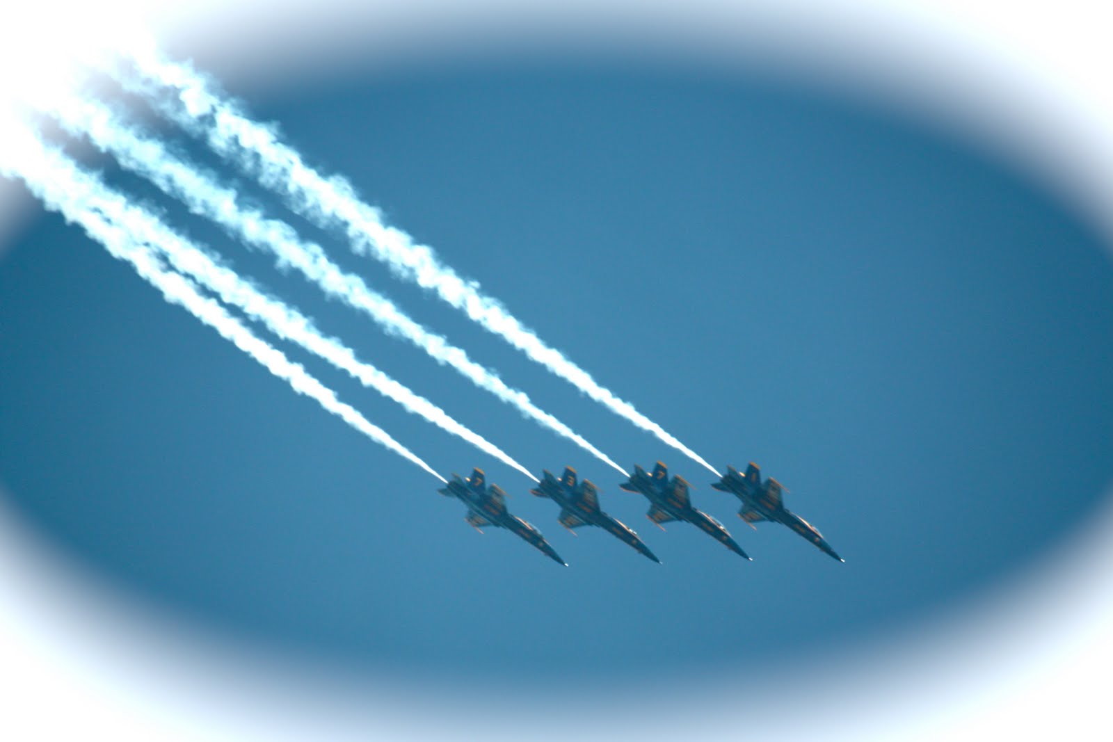 [IMG_8372_2.JPG]