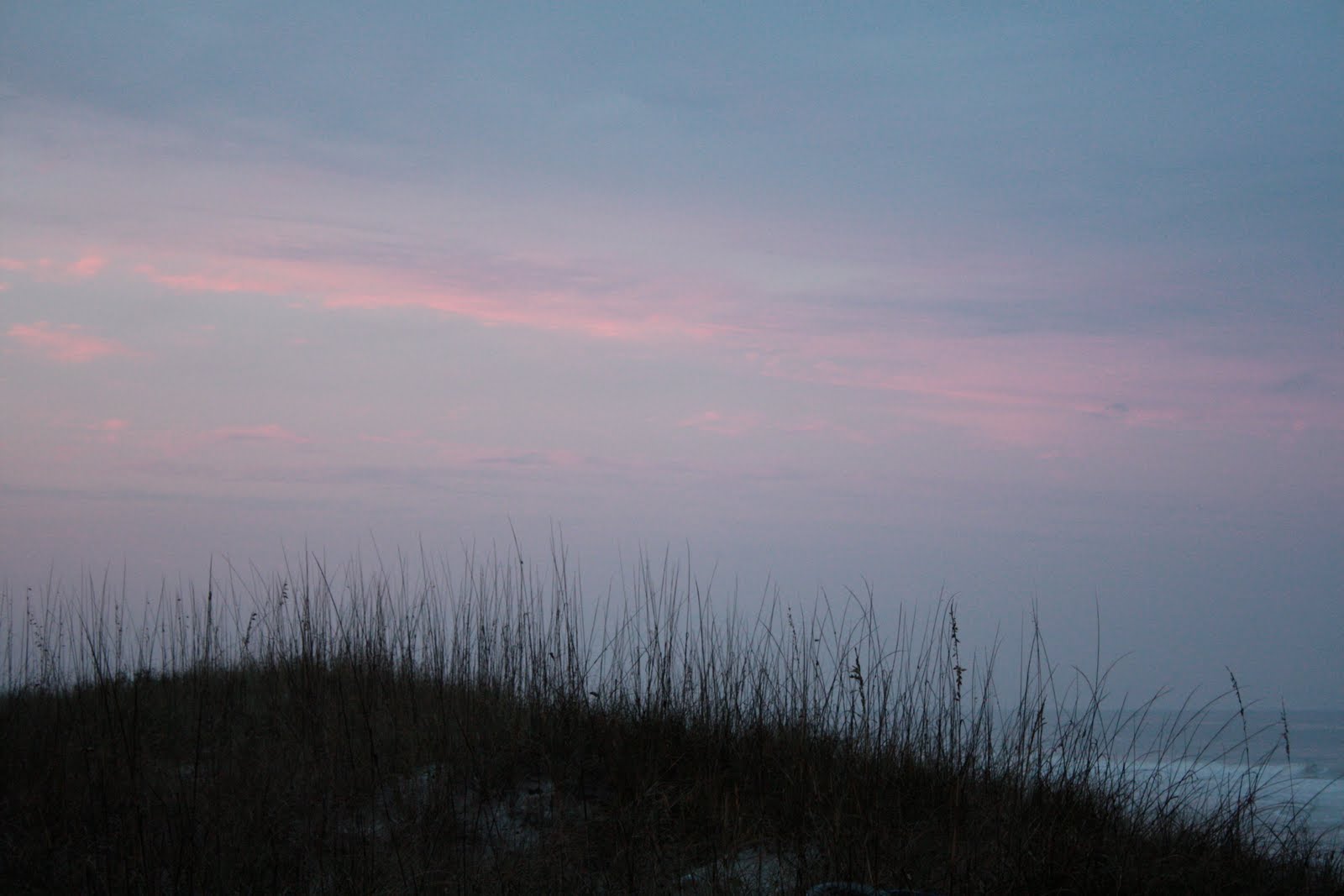 [IMG_0273.JPG]
