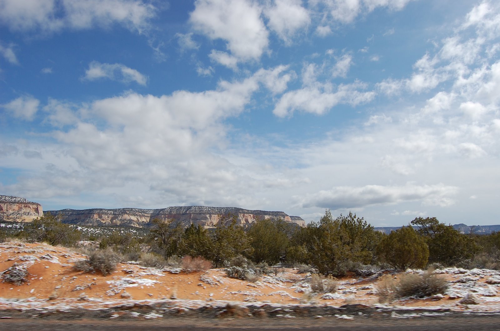 [DSC_0564.JPG]