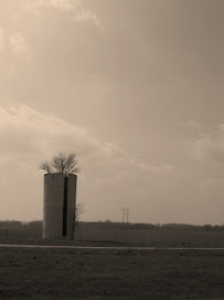 Missouri Fields