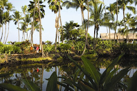 Hawaiian Beaches Health Retreat