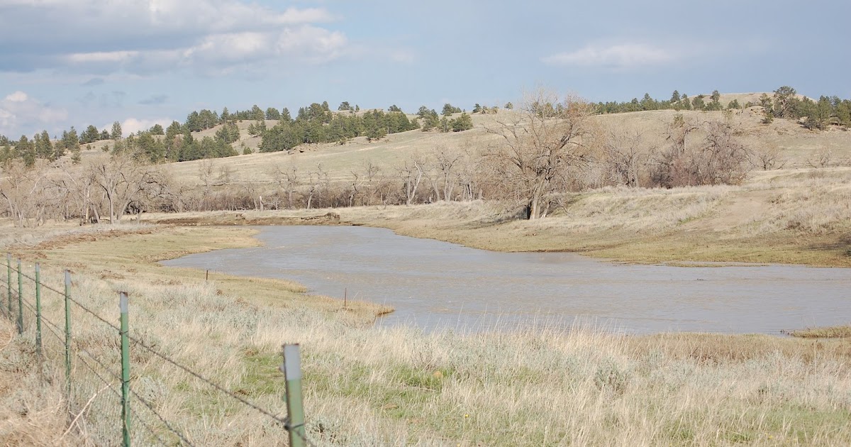 Between The Fenceposts Box Elder Creek