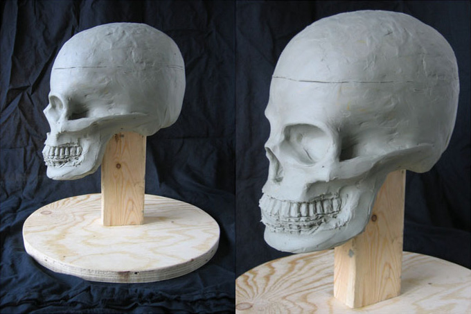 Clay Skull