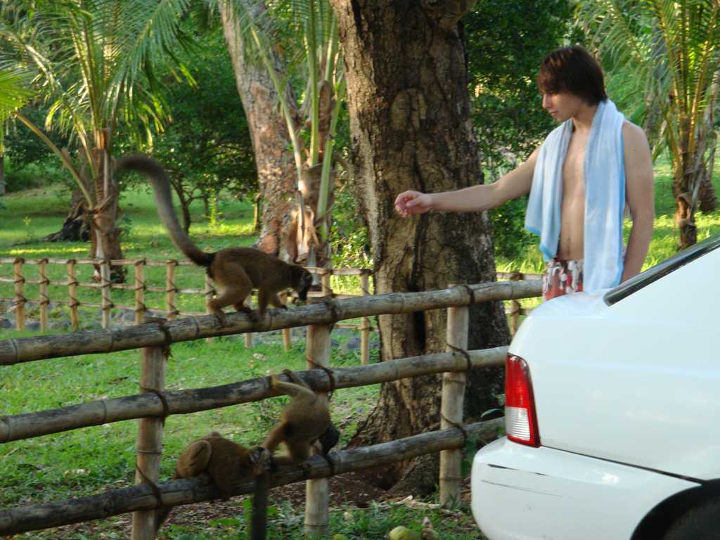 rencontre homme mahorais