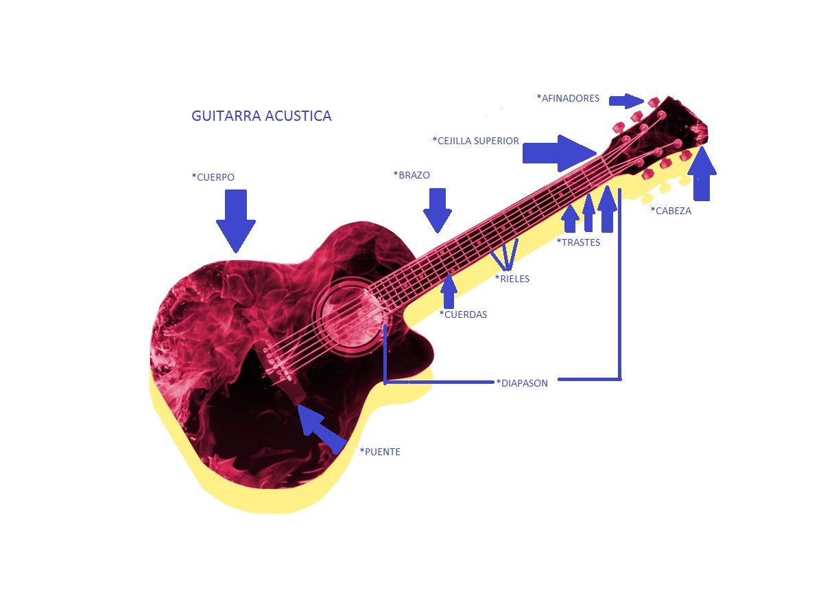 Cuales Son Los Instrumentos De Cuerda Nombres