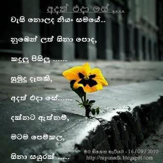 අදත් එදා සේ .......