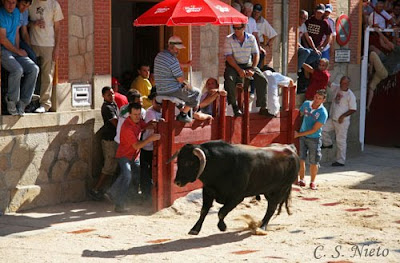 Capeón en la plaza del ayuntamiento