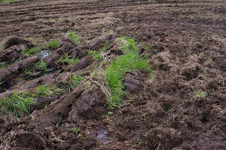 Tilling The Land