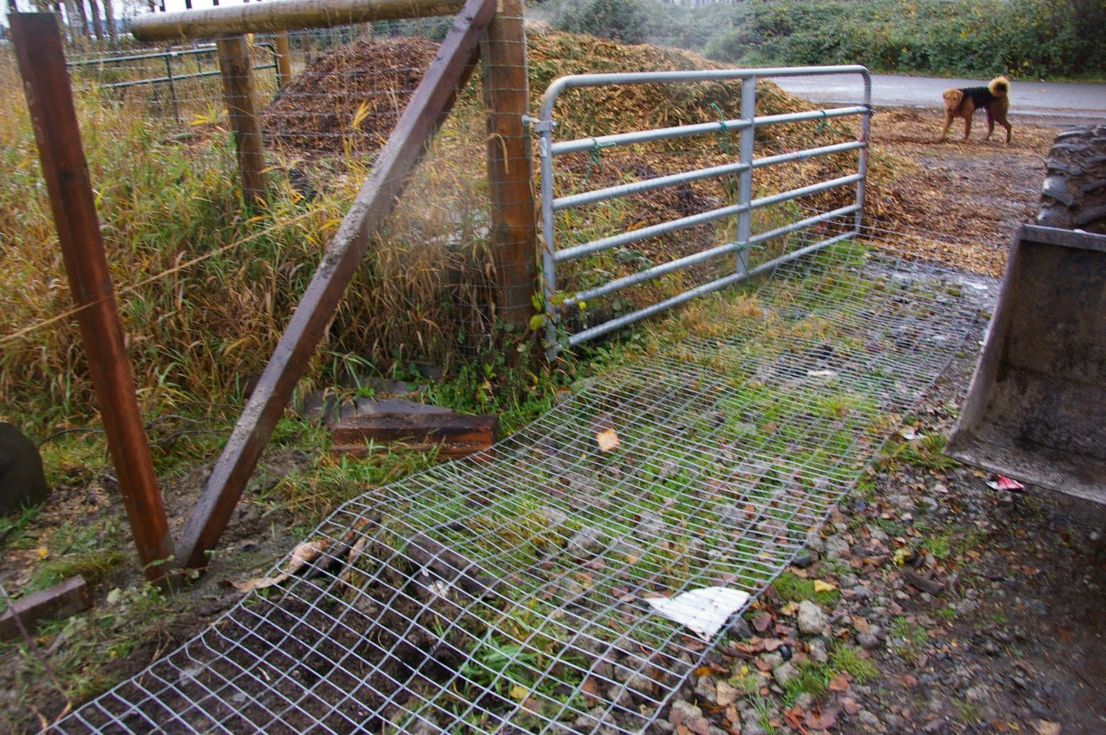 meat Stretching fencing with a tractor and a log