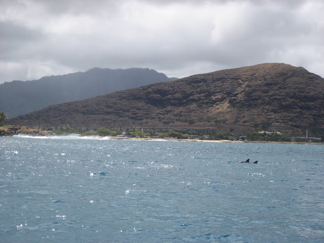 Pokai Dolphins