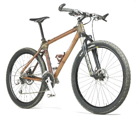 Bamboo could be an interesting